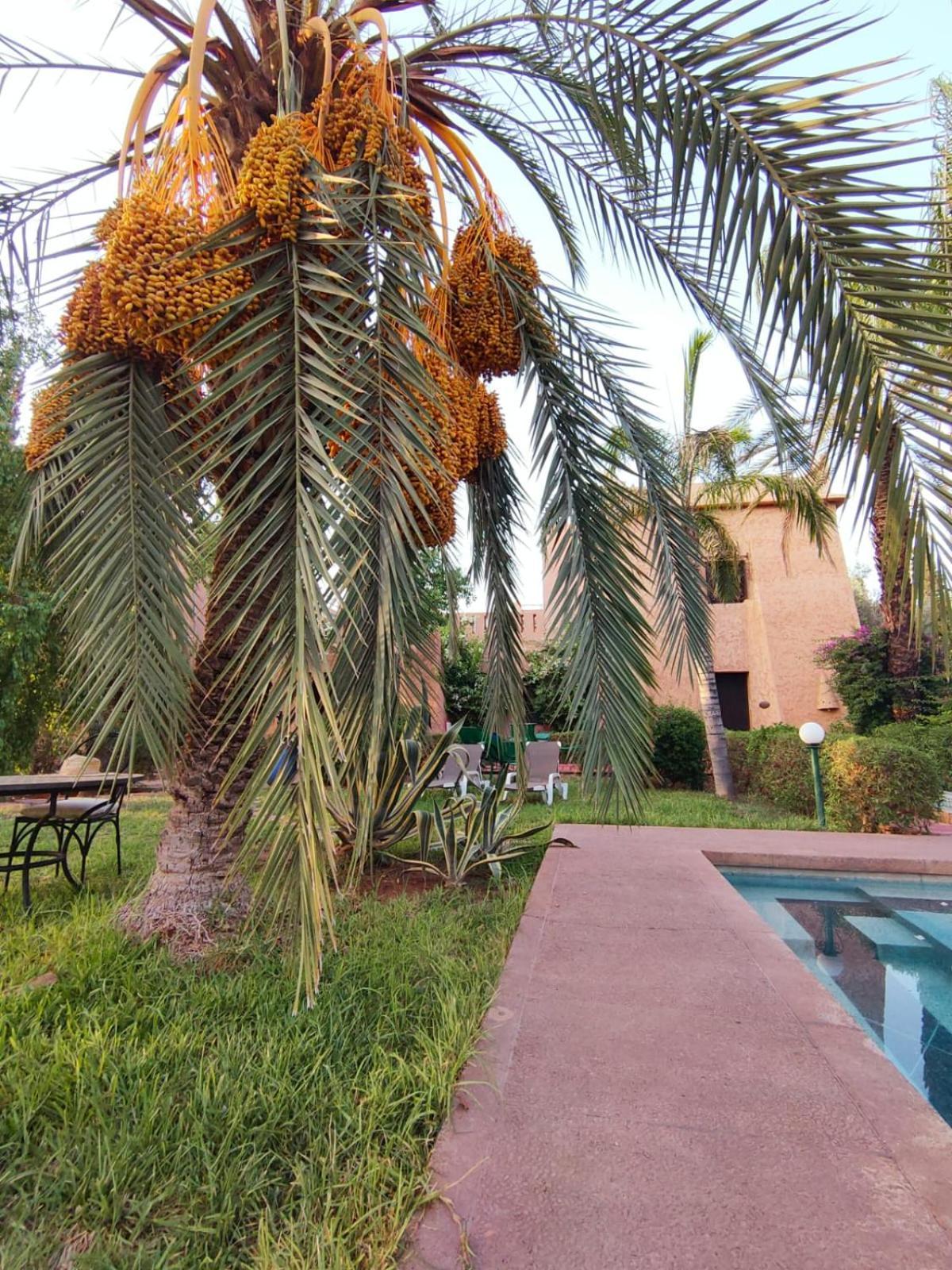 Riad Sheherazade Marrakech Marraquexe Exterior foto