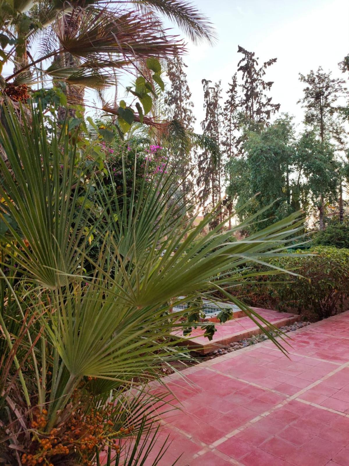 Riad Sheherazade Marrakech Marraquexe Exterior foto