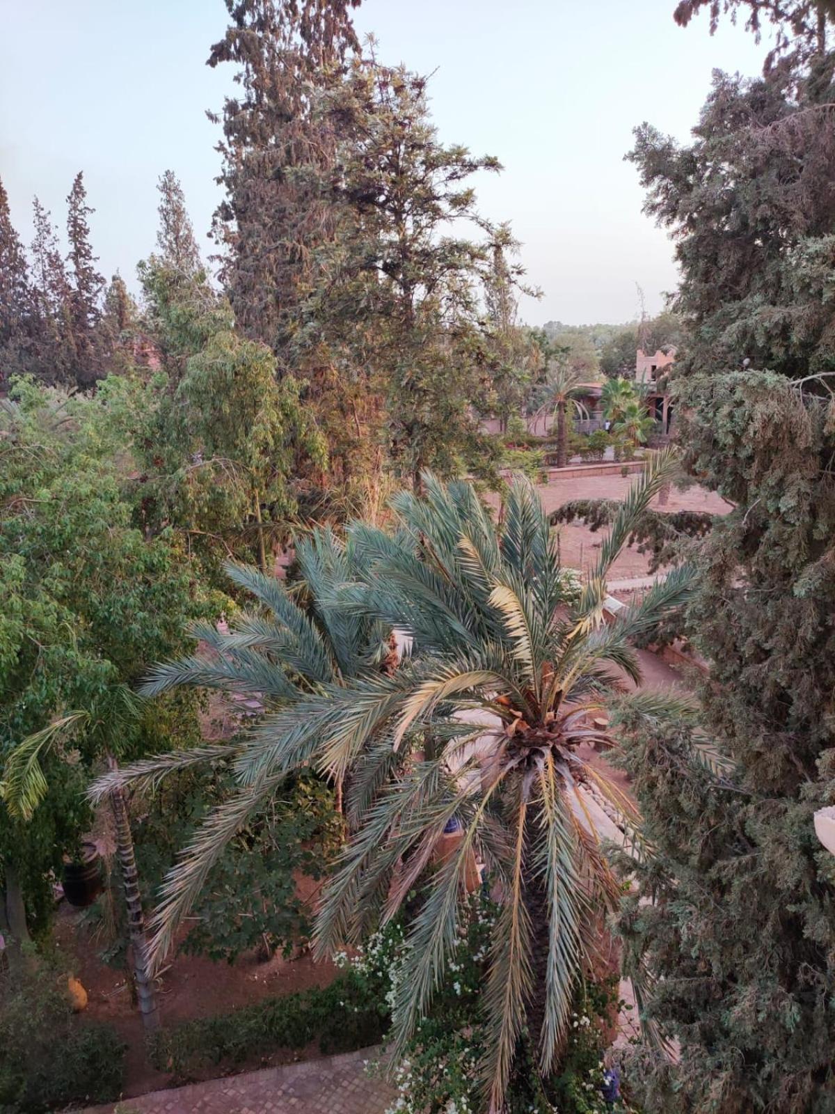 Riad Sheherazade Marrakech Marraquexe Exterior foto